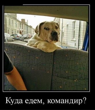 Задвижки для запорной арматуры.